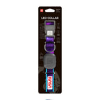 WAUDOG LED Light Up Dog Collar - NASA21