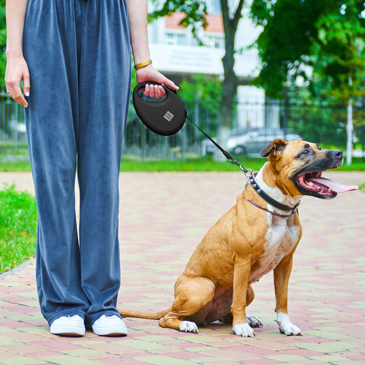 WAUDOG Nylon Dog Leash - Black