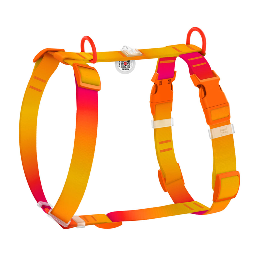 WAUDOG Nylon Recycled Dog H-Harness with QR Passport - Gradient - Orange