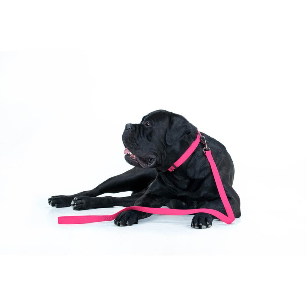 WAUDOG Waterproof Dog Leash - Pink