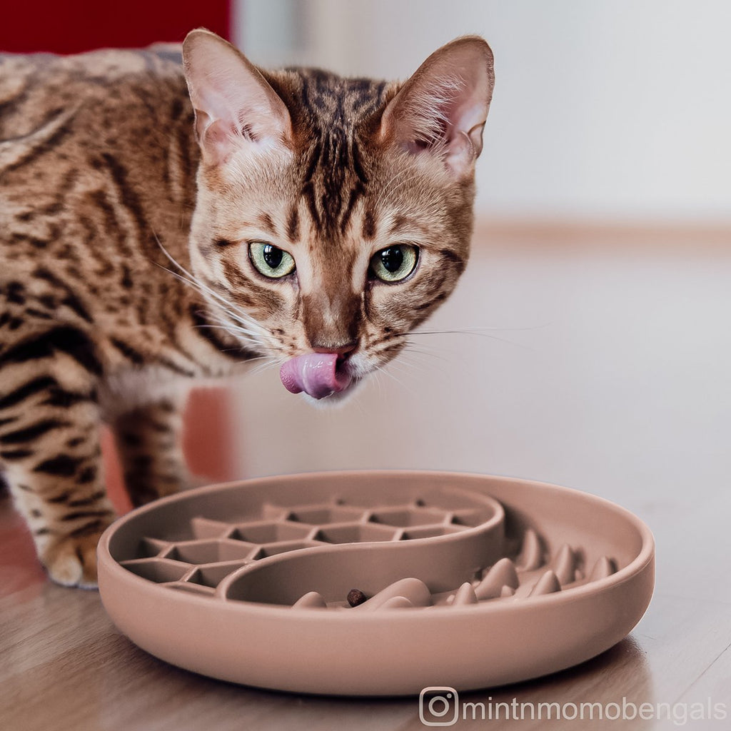 Anti-sling bowl for dogs and cats