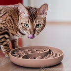 Anti-sling bowl for dogs and cats