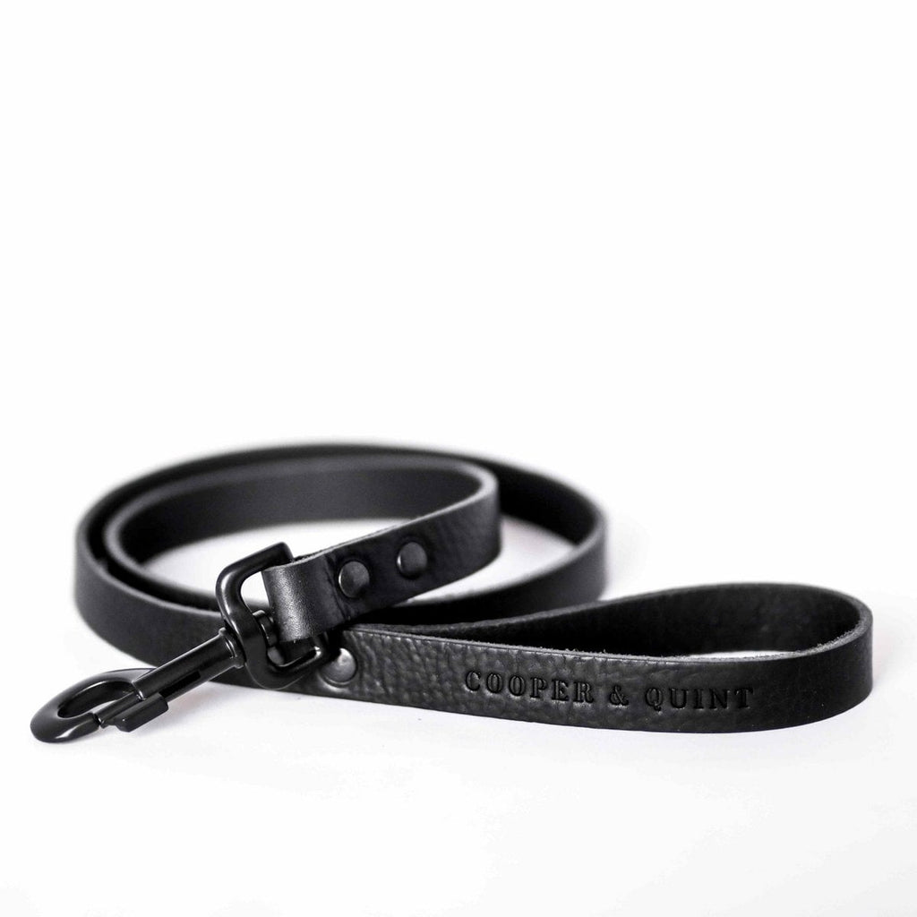 Hundetrainingsleine – Schwarz