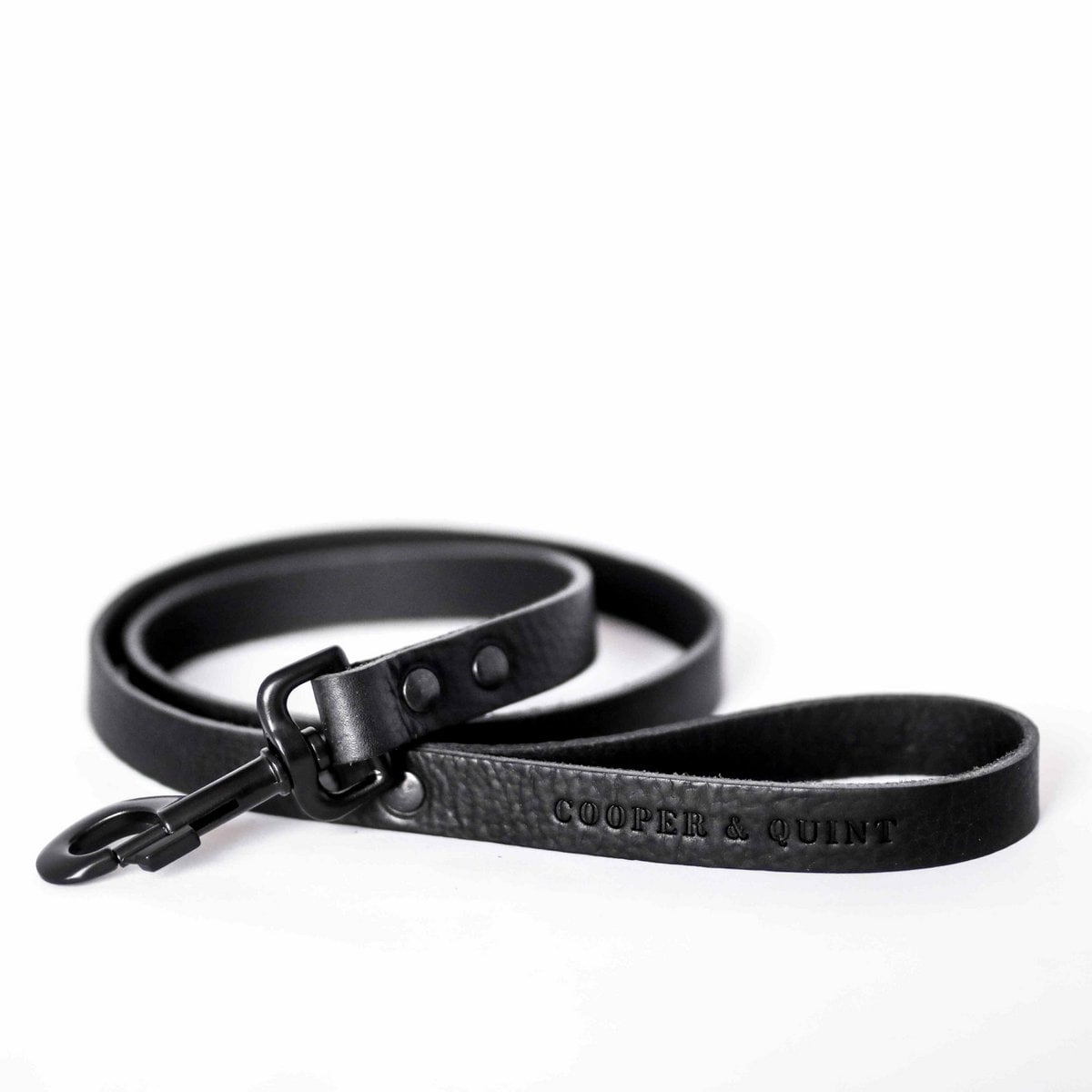 Hundetrainingsleine – Schwarz