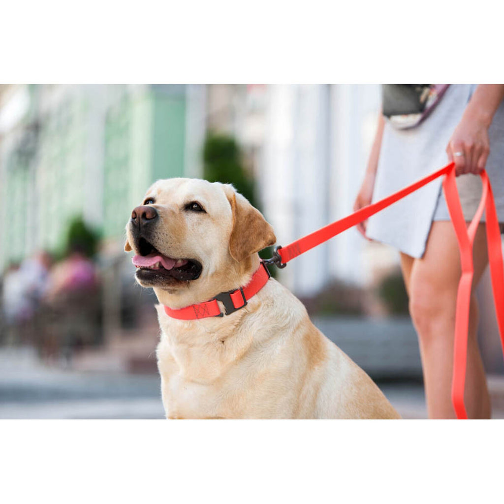 WAUDOG Waterproof Dog Leash - Red