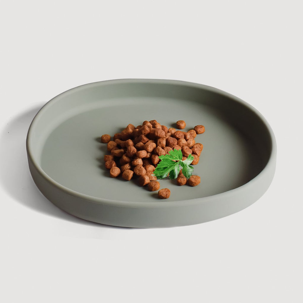 Cat Bowl – Silicone Shallow Whisker-Friendly