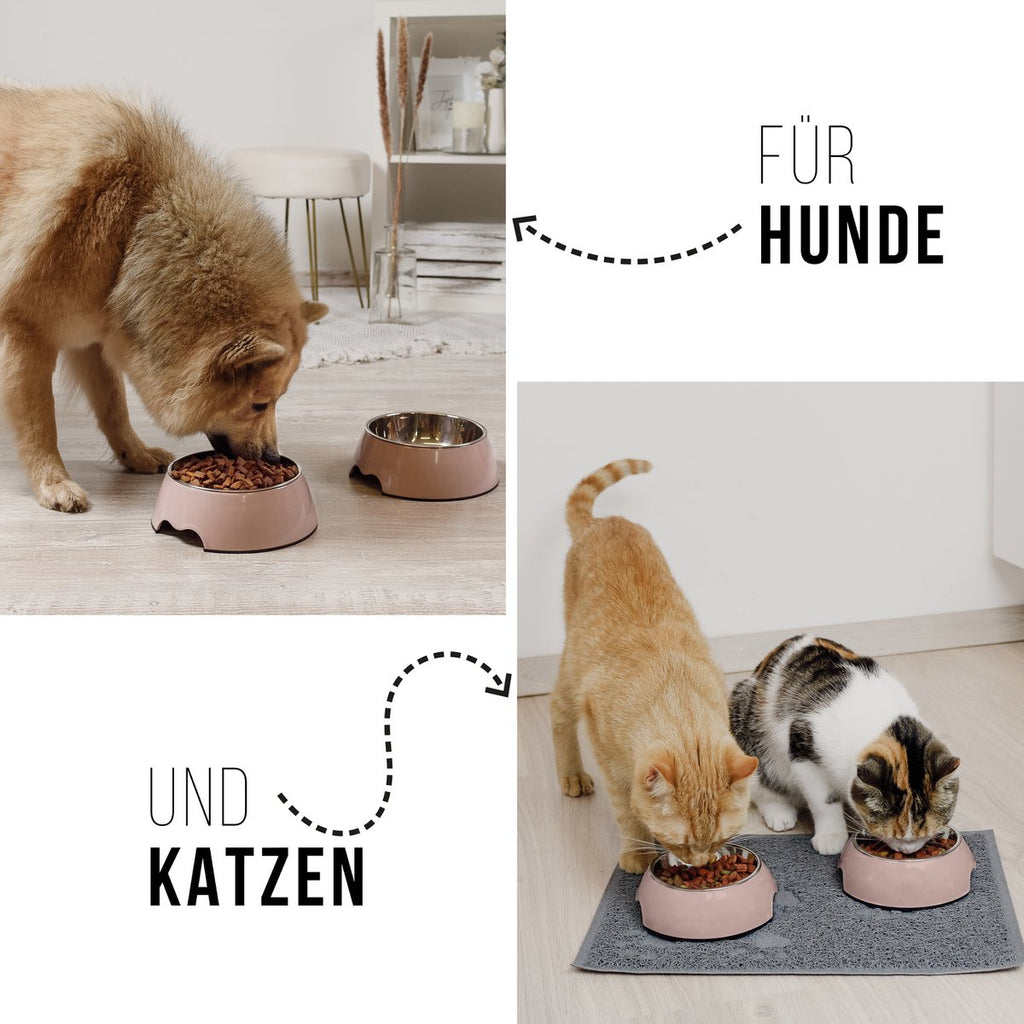 Futternapf - 2er Set - für Hunde und Katzen - Rose