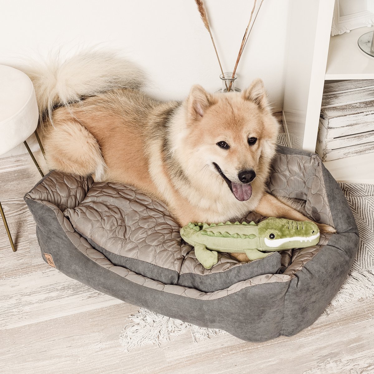 Juguete de lona para perros con chirriador – Cocodrilo