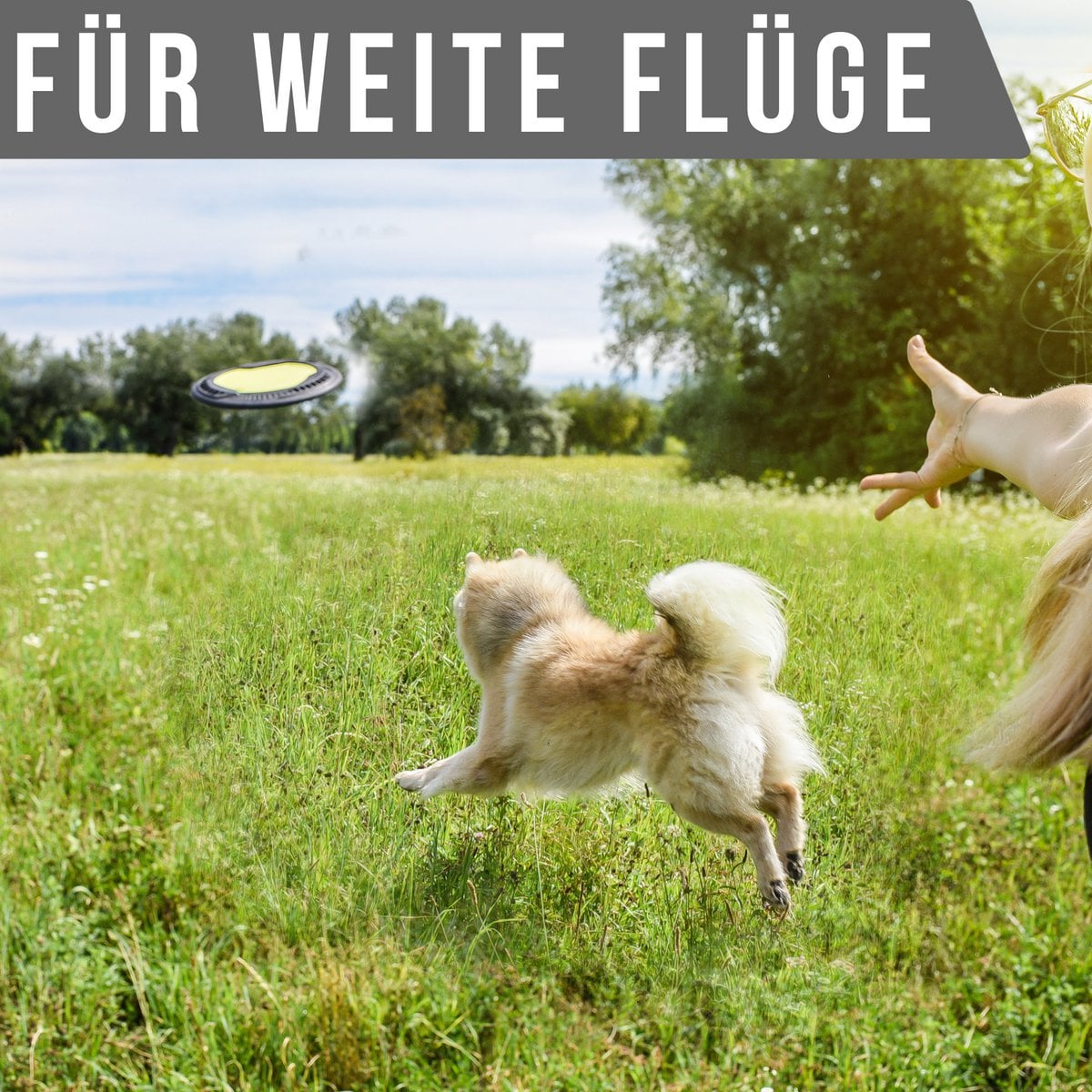 Frisbee para perros – Flotante de larga distancia