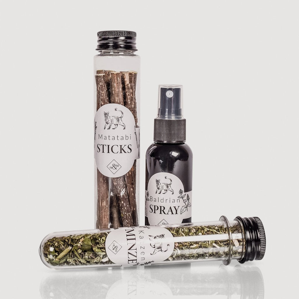 Juego de regalo de bienestar para gatos – Hierba gatera, spray de valeriana y palitos de matatabi