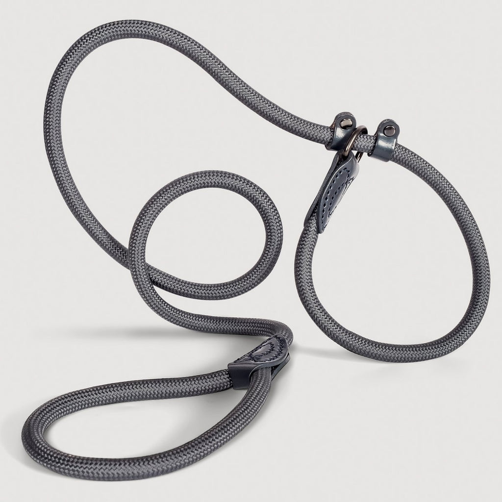 Schlupfhundleine mit integriertem Halsband