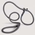 Schlupfhundleine mit integriertem Halsband