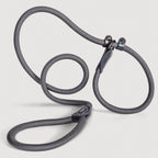 Schlupfhundleine mit integriertem Halsband