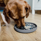 Anti-sling bowl for dogs and cats