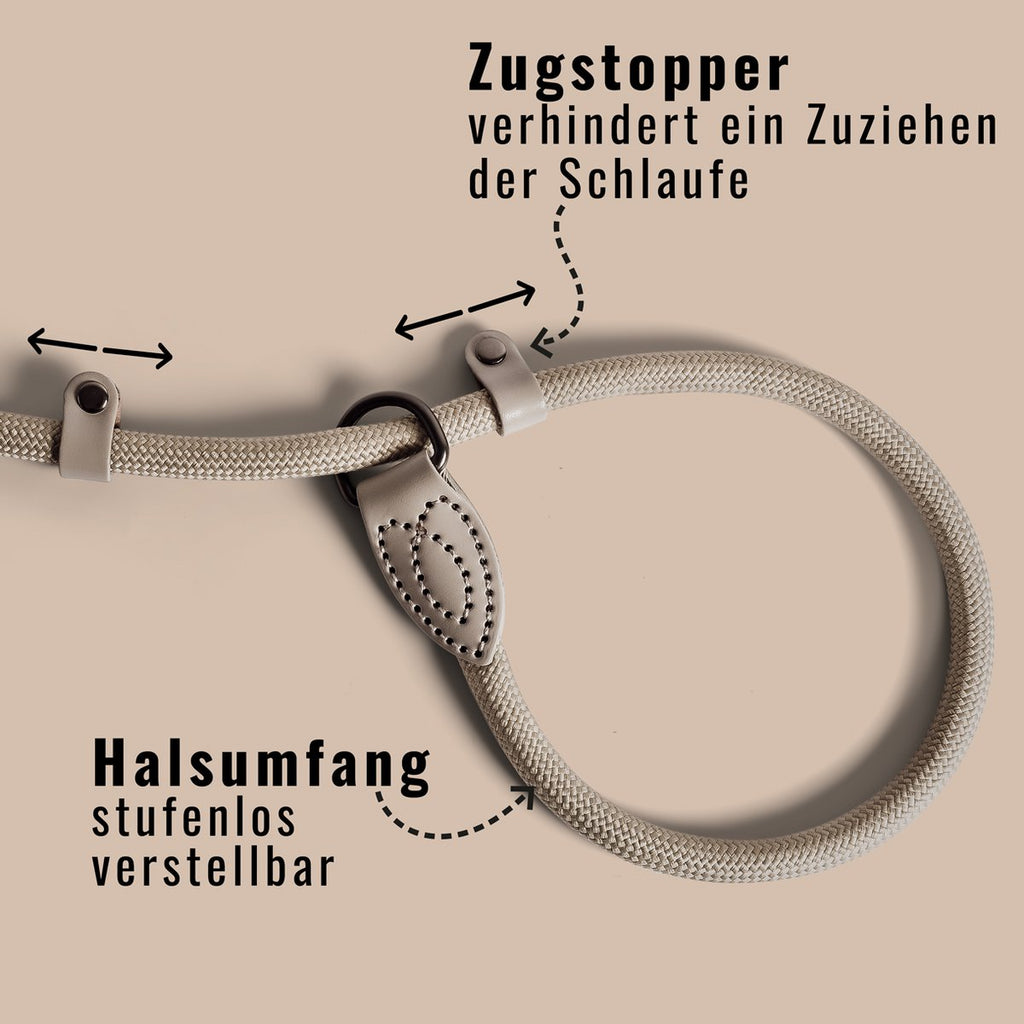 Schlupfhundleine mit integriertem Halsband