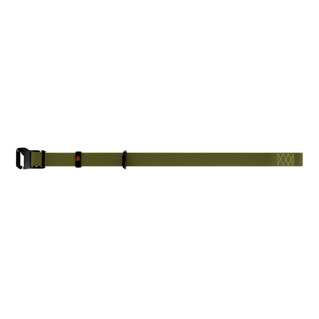 EVOLUTOR Adjustable Dog Collar - Khaki