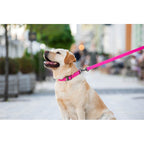 WAUDOG Waterproof Dog Leash - Pink