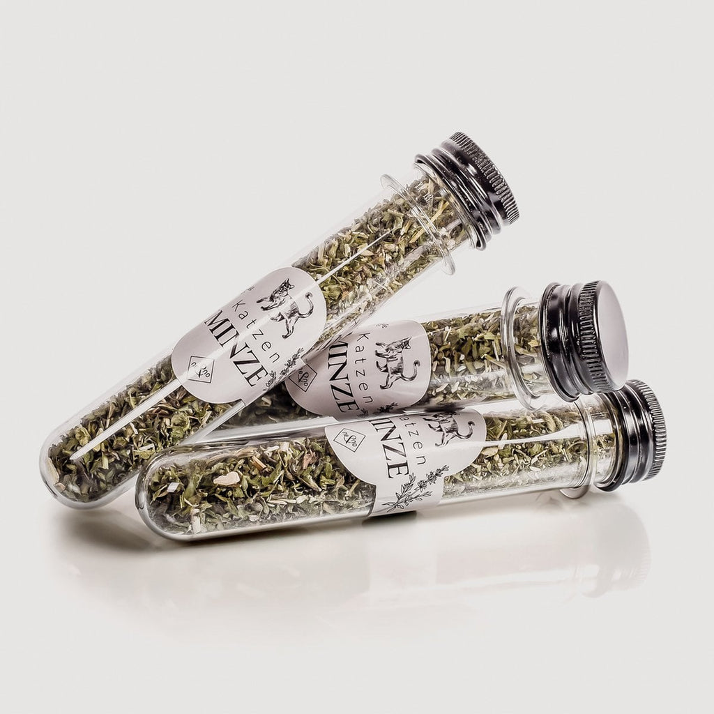 Juego de regalo de bienestar para gatos – Hierba gatera, spray de valeriana y palitos de matatabi