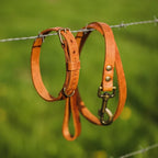 Hundehalsband aus Leder – Farbe Kamel