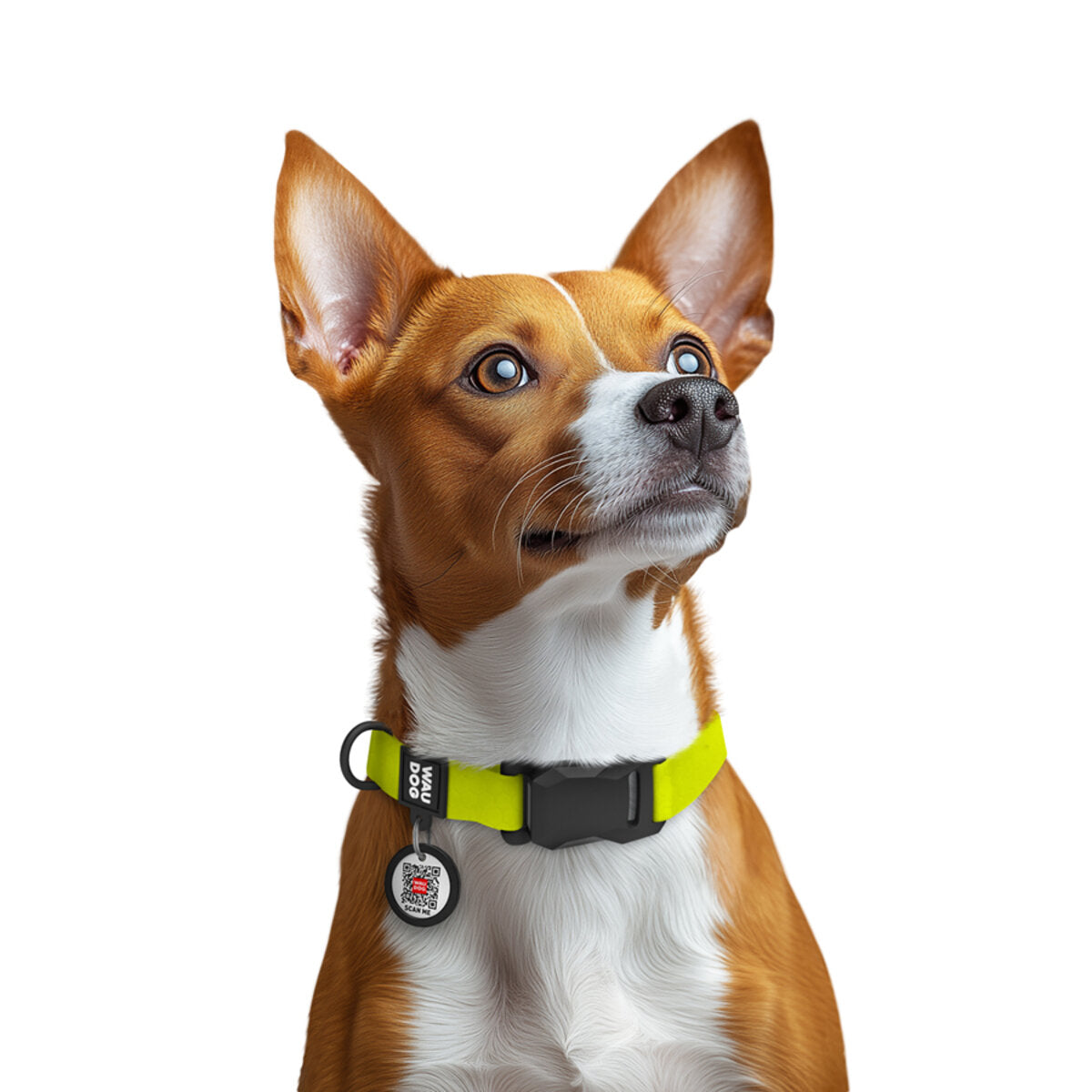 WAUDOG Magnet Dog Collar with QR Passport - Lemon