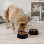 Pet Food Bowls Set – for Dogs & Cats (2 Pieces, Black, Sizes S/M/L)