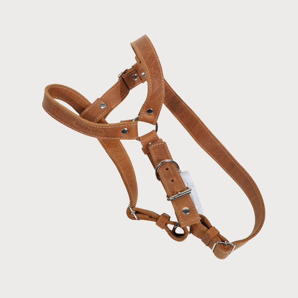 Arnés de cuero Pawearea™ para perros