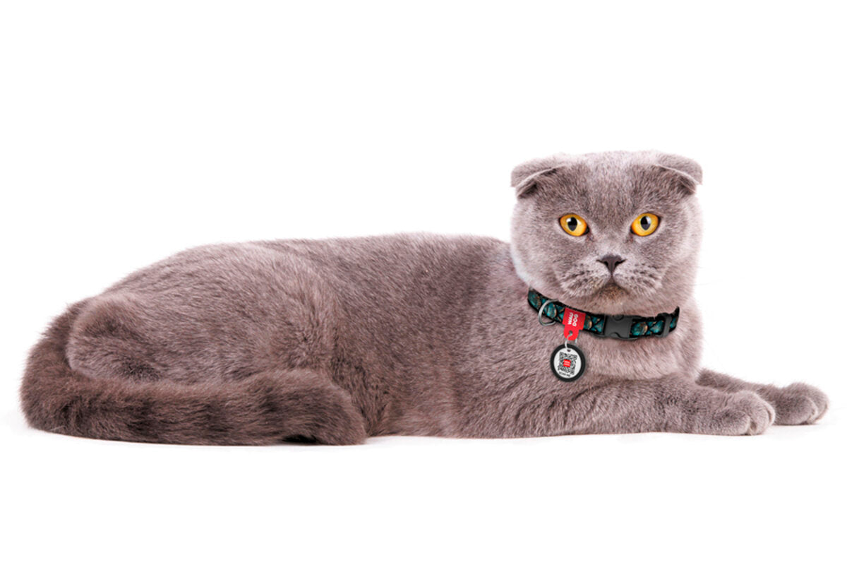 WAUDOG Nylon Dog Collar with QR Passport - Scales