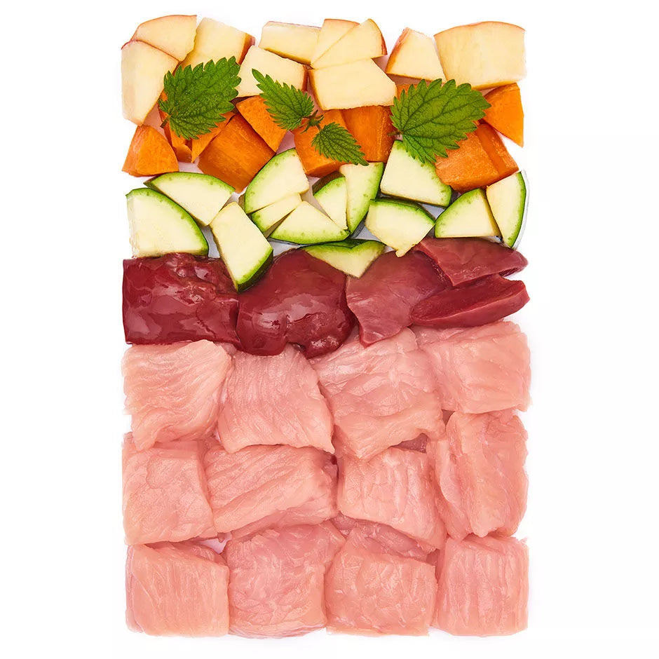 DL Adult Turkey Wet Dog Food  With Apple, Zucchini & Walnut Oil