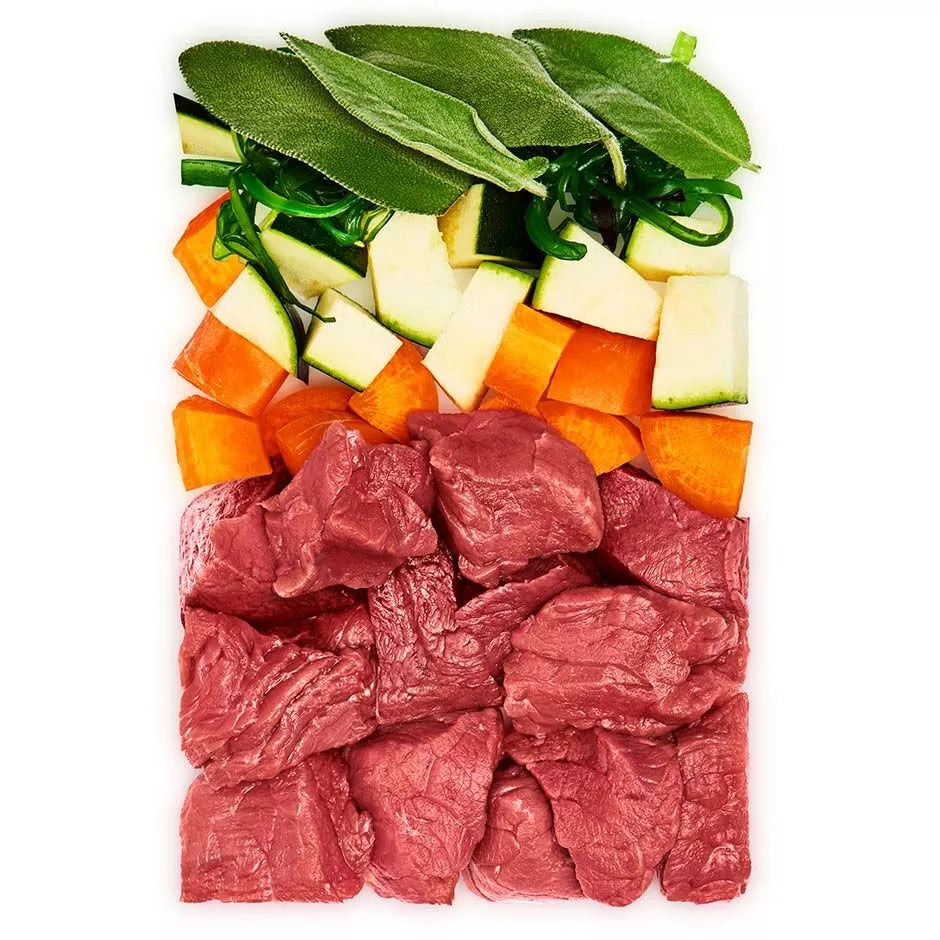 DL Junior Beef Wet Dog Food  With Carrot & Sage 400g