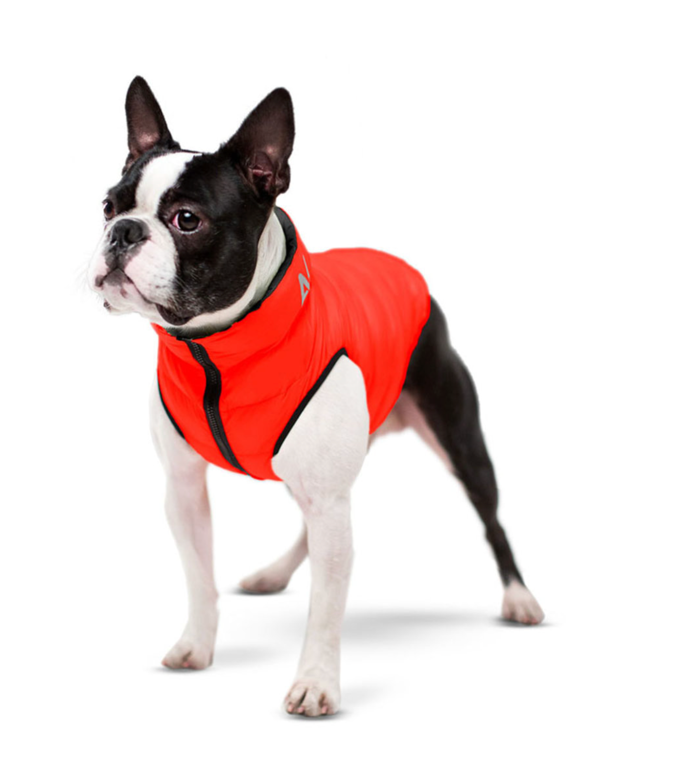 Dog jacket AiryVest reversible, black-red