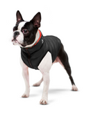 Dog jacket AiryVest reversible, black-red