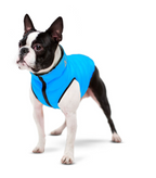 Dog jacket AiryVest reversible, black-blue