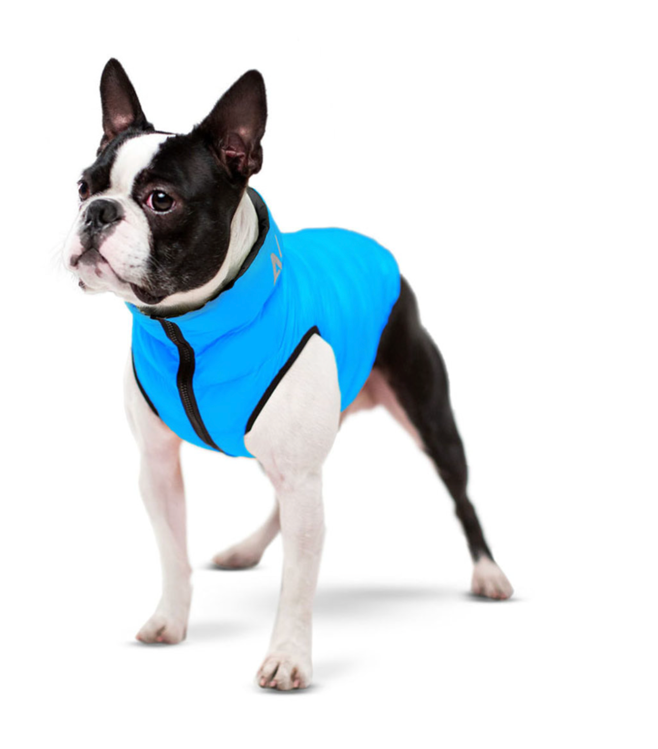 Dog jacket AiryVest reversible, black-blue
