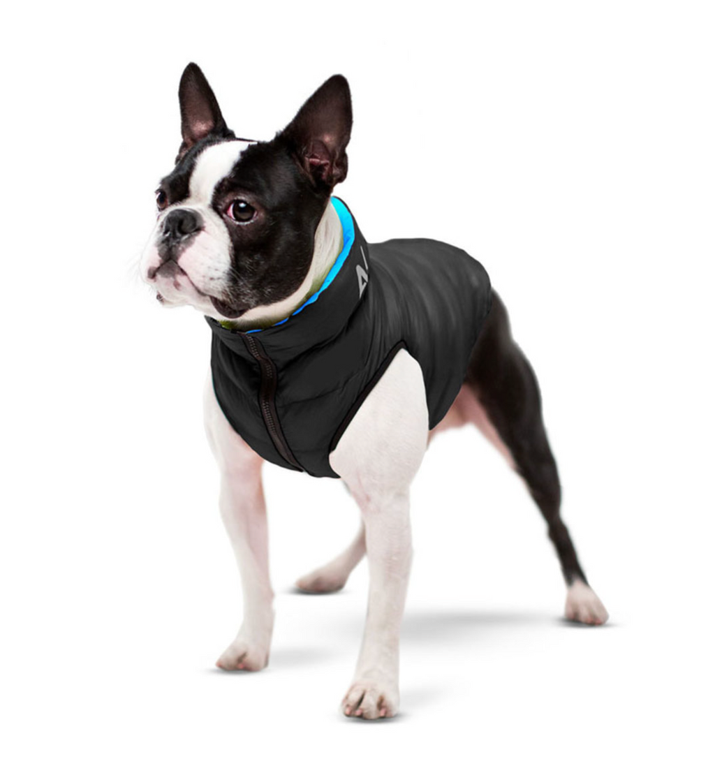 Dog jacket AiryVest reversible, black-blue