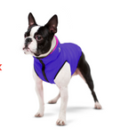 Dog jacket AiryVest reversible, pink-purple