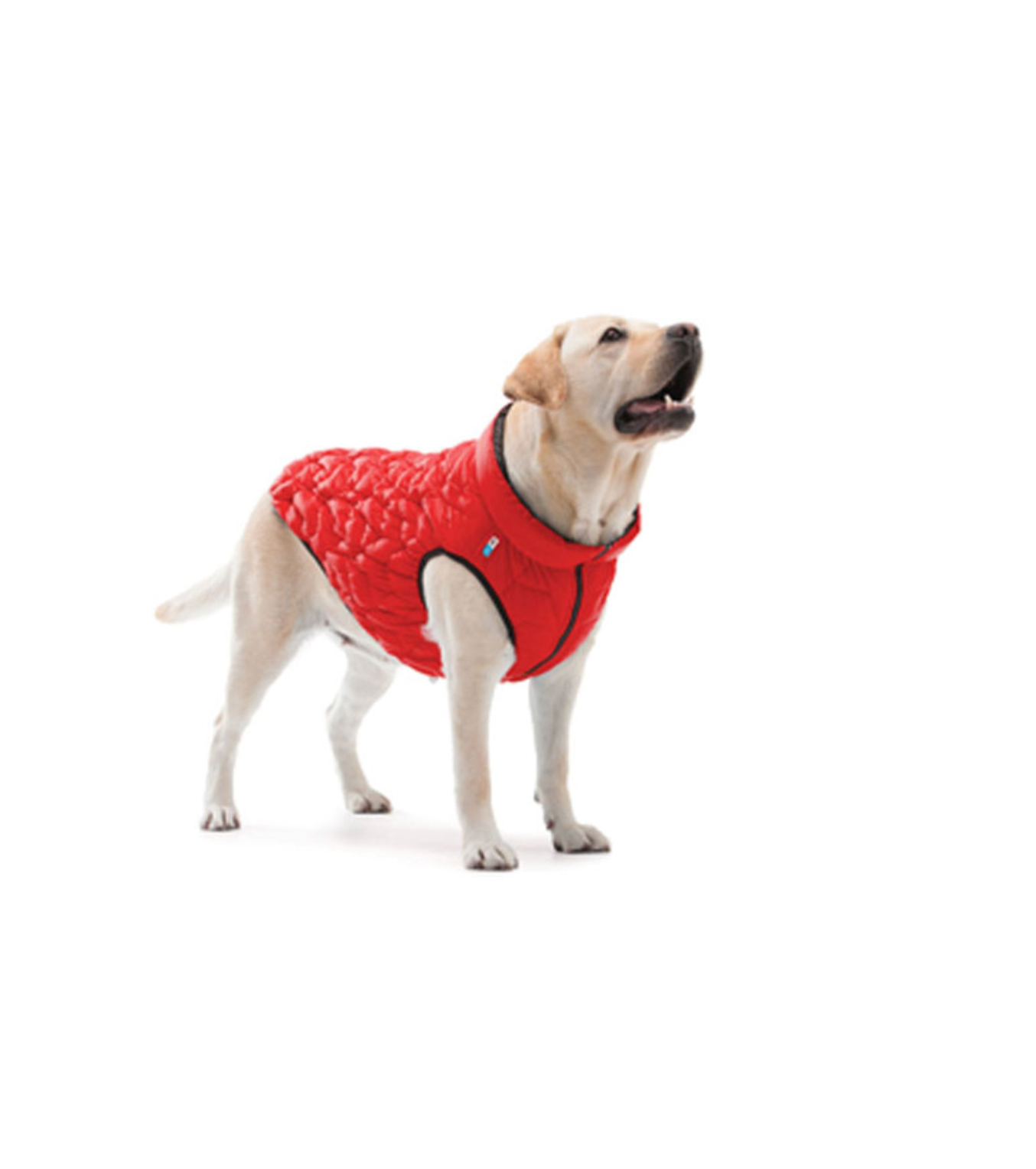 Dog jacket AiryVest  UNI reversible,  red - black