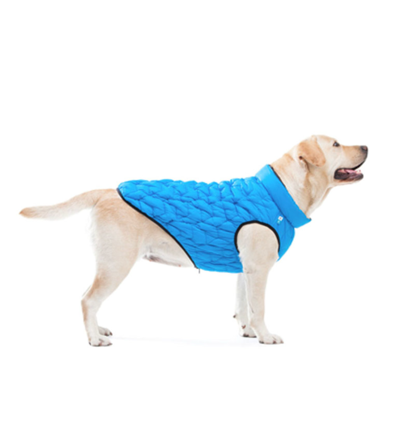 Dog jacket AiryVest  UNI reversible, L 55 blue-black