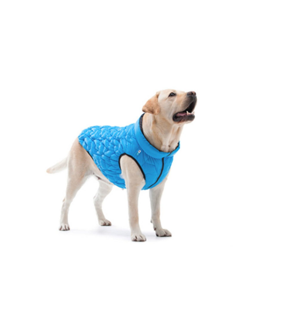 Dog jacket AiryVest  UNI reversible, L 55 blue-black