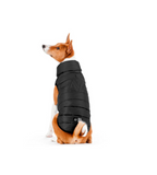 Dog jacket AiryVest ONE, black