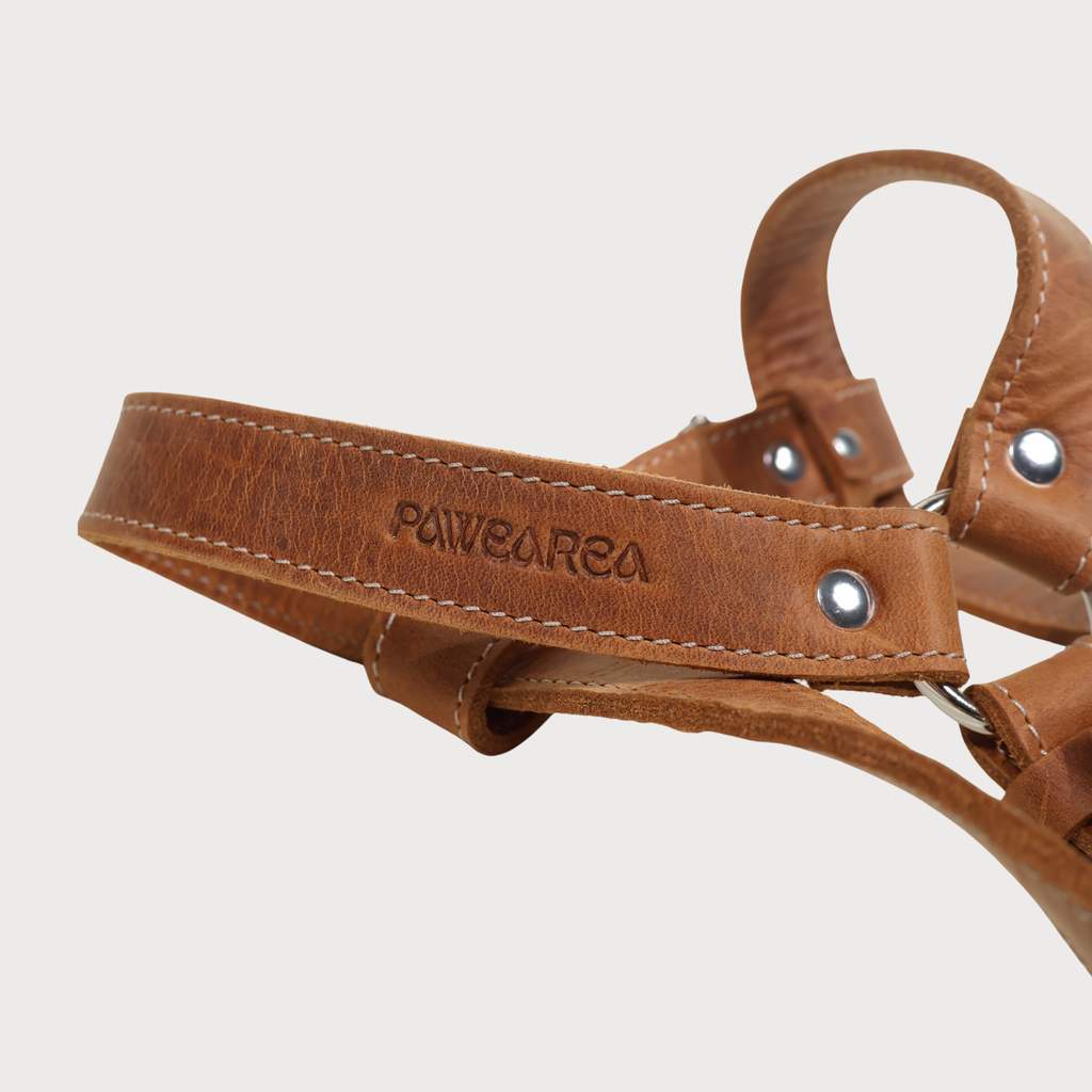Luxury Leather Dog Harness – PAWEAREA