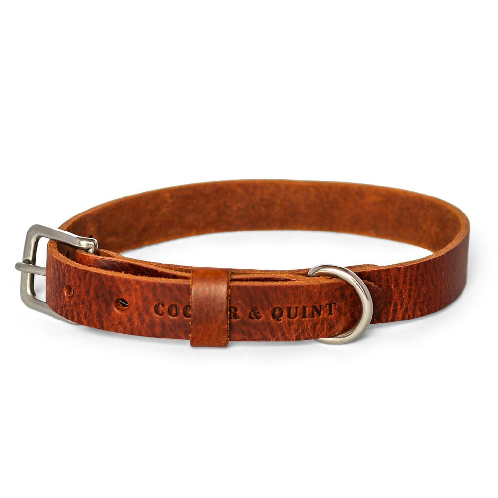 Hundehalsband aus Leder – Braun