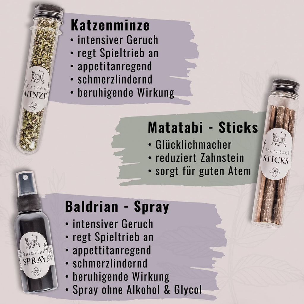 Juego de regalo de bienestar para gatos – Hierba gatera, spray de valeriana y palitos de matatabi