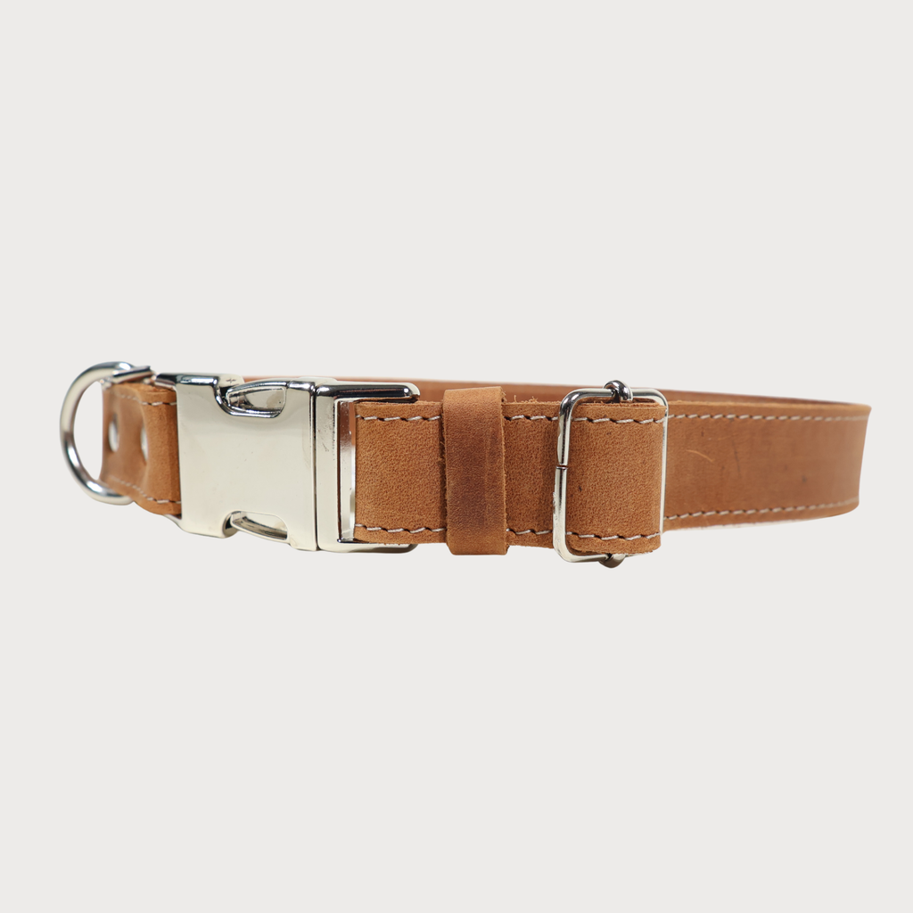 Luxury Leather Dog Collar – PAWEAREA