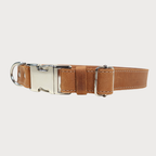 Luxury Leather Dog Collar – PAWEAREA
