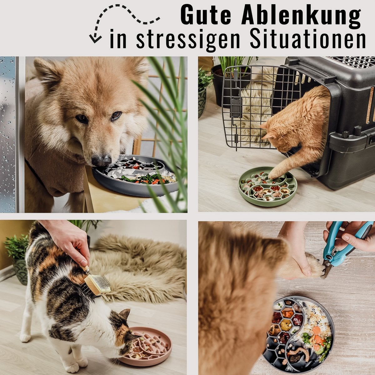 Anti-sling bowl for dogs and cats