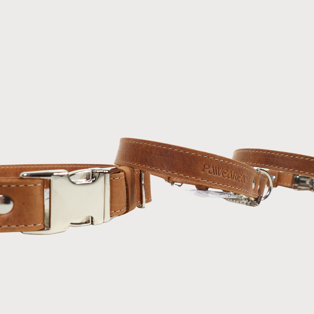 Luxury Leather Dog Collar – PAWEAREA