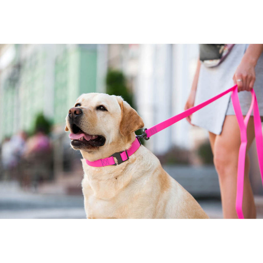 WAUDOG Waterproof Dog Leash - Pink