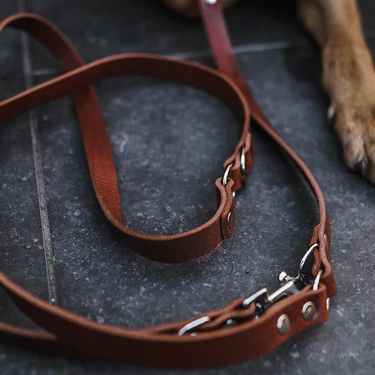 Verstellbare Hundeleine aus Leder – Braun