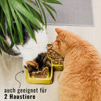 Bamboo Double Bowl for Cats & Small Dogs