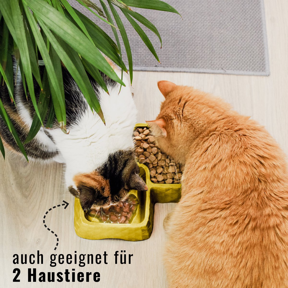 Bamboo Double Bowl for Cats & Small Dogs